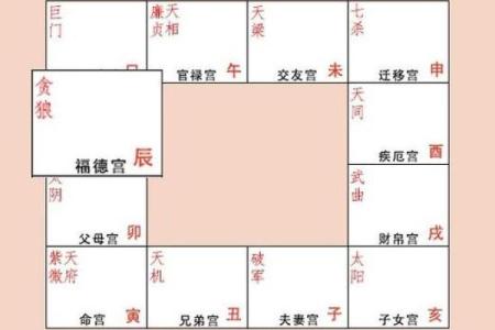 紫薇斗数贪狼火星