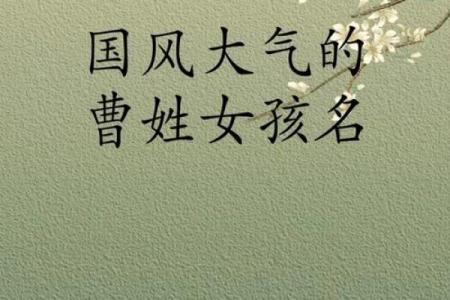 曹姓女孩名字大全-曹姓女孩起名字大全-曹姓名字大全姓名