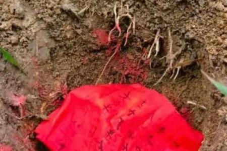 什么时候造生基好-造生基吉日介绍