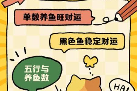 家里养鱼也有风水讲究这么一说
