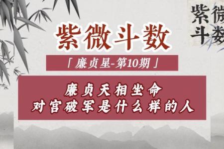 元贞亨利紫薇斗数
