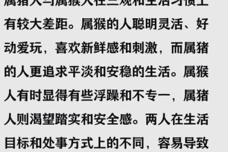属相猪的性格特点及其与其他属相的配对