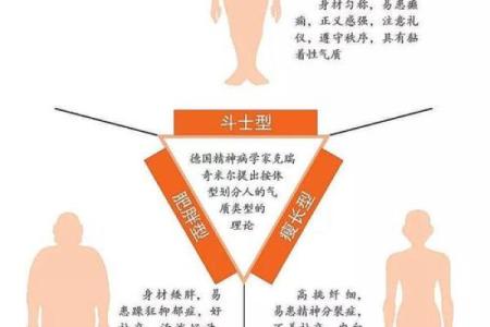 从血型的角度看寿命长短 长知识的科学论