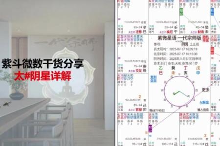 紫薇斗数详解软件