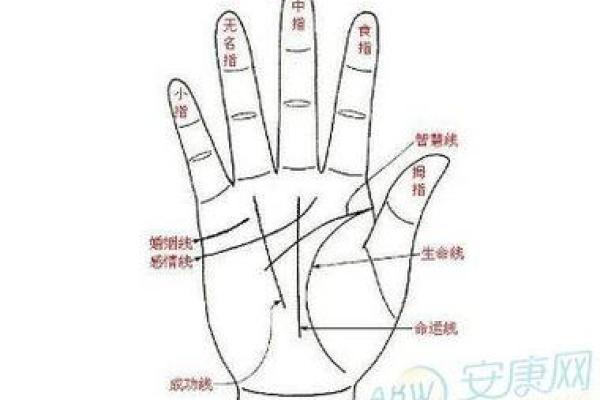 梦到男童给自己看手纹算命