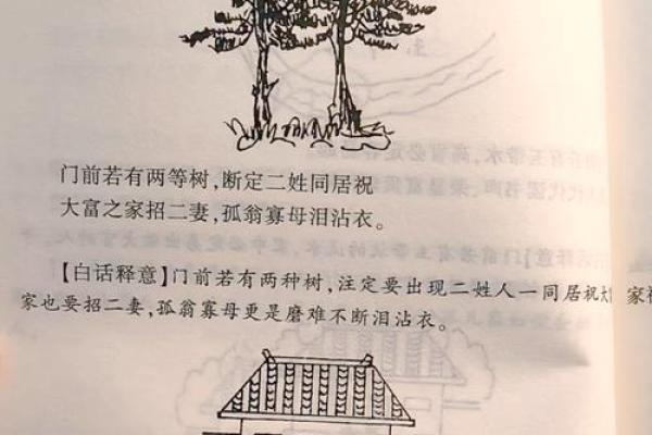 墓地风水朝向有什么讲究