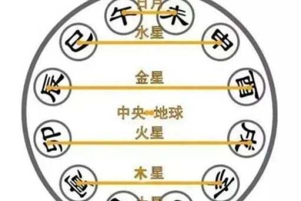 八字地支合