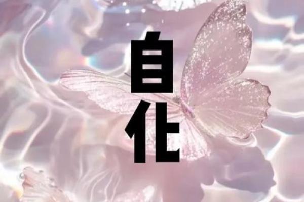 紫微斗数排盘疾厄宫自化忌是什么意思？