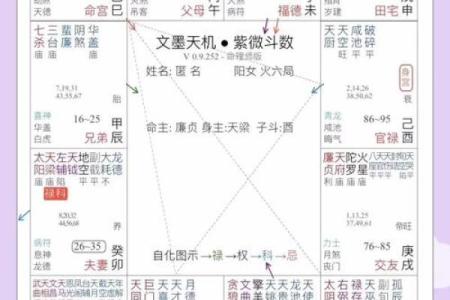 紫薇斗数什么星是大老婆命