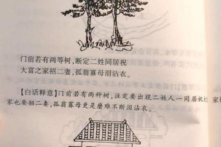 墓地风水朝向有什么讲究