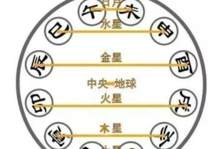 八字地支合