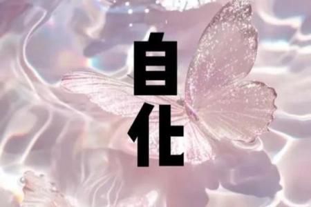 紫微斗数排盘疾厄宫自化忌是什么意思？