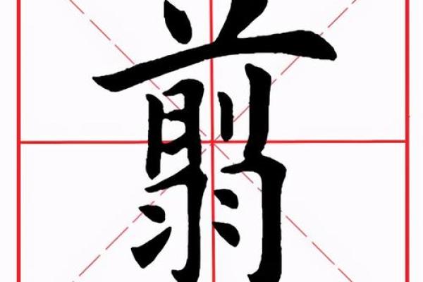 羽的八字