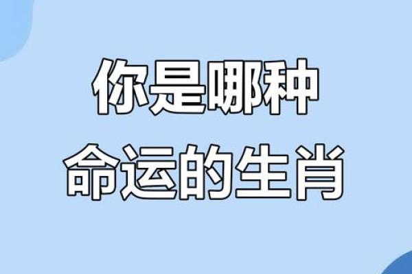 生肖预测，如何通过“去”字测试你的属相
