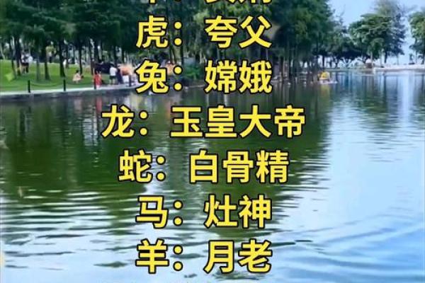 以哪个生肖代表财神？解析各种生肖代表财神信息
