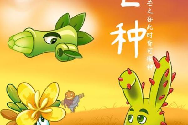 2024年芒种的财神方位在哪？芒种节气的三个物候现象