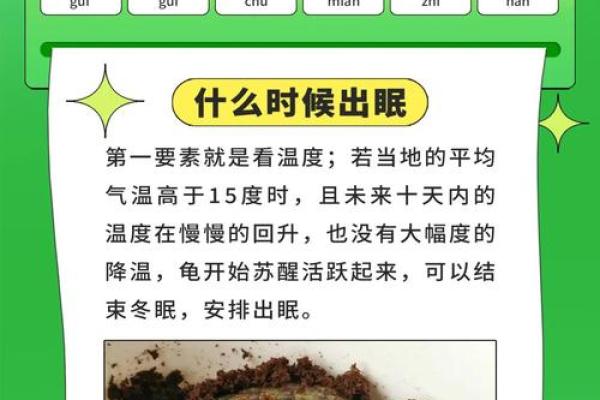 乌龟风水_龟眠之地是什么