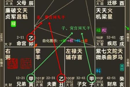 紫薇斗数地盘时辰