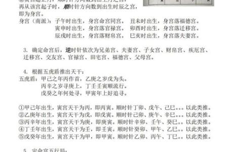 紫薇斗数身宫未