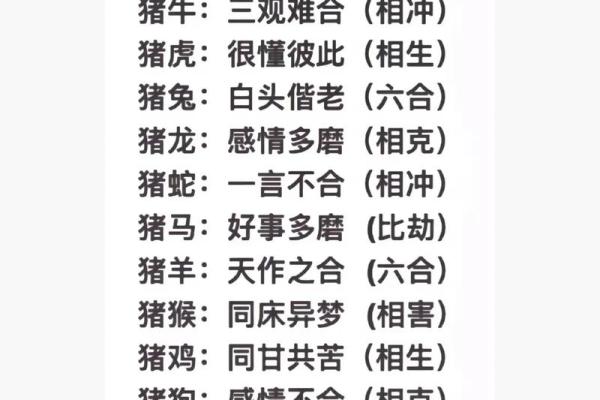 生肖配对表 兔和猪适合在一起吗