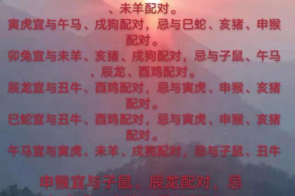 十二生肖婚配大全表 12生肖婚姻最佳配对表图片