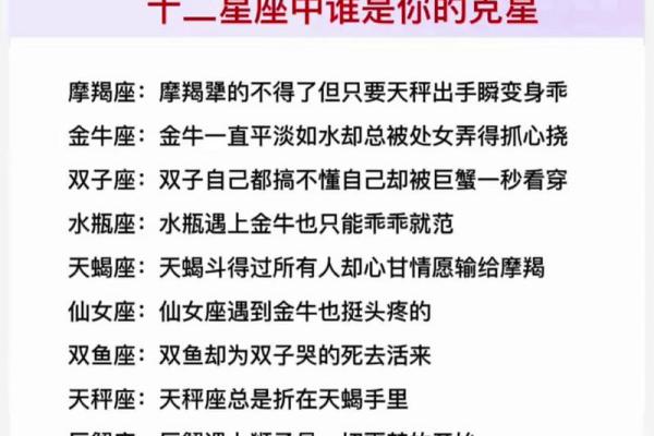陶白白教你如何追到十二星座