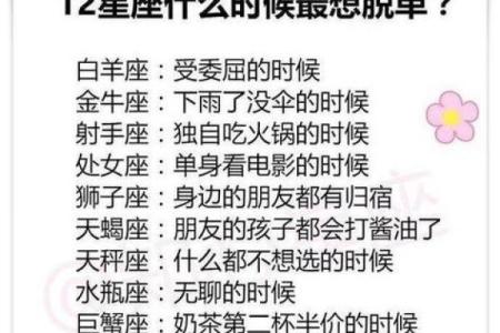 哪个星座排名第一十二星座好男人排行榜
