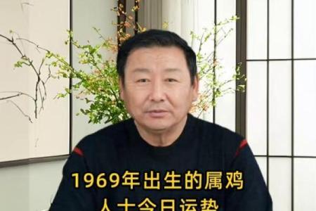 属鸡是哪一年出生的 属鸡的男孩出生吉日