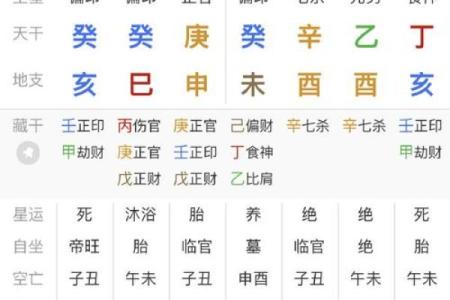 八字甲午辛未