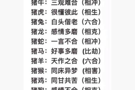 生肖配对表 兔和猪适合在一起吗