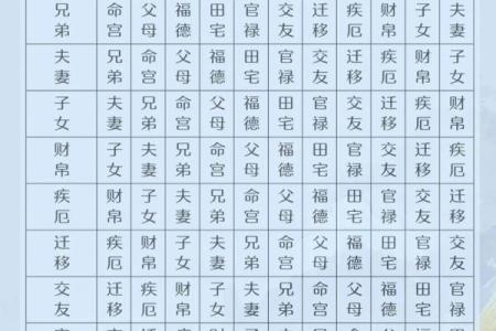中华预测网紫微斗数 中华国学紫微斗数培训官网？
