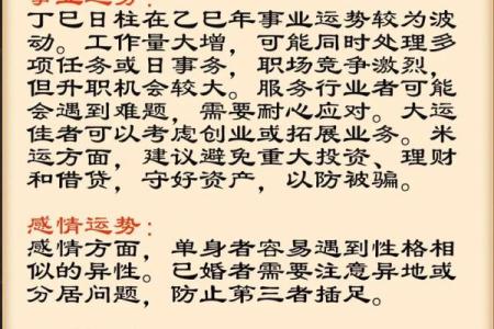 八字丁巳日