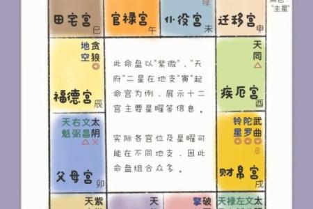 紫薇斗数看子孙