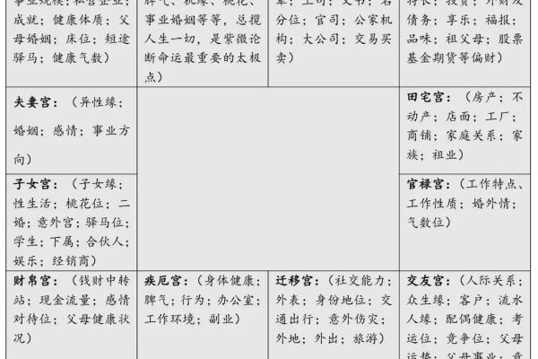紫薇斗数进阶书