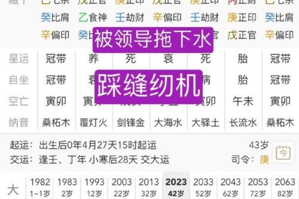 八字排盘详解，丁卯戊申乙卯乙酉命理解析