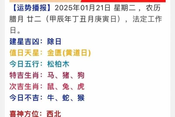 今日黄历生肖运势吉凶查询