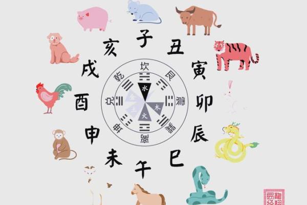 2024年打麻将赢钱方位 属兔坐什么方位才会赢钱