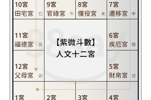 紫微斗数看人什么时候死 紫微斗数 怎么看一个人的寿命？