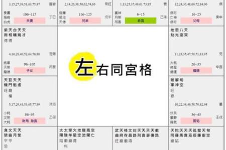 紫微斗数诸星落命宫之：左辅星、右弼星详解
