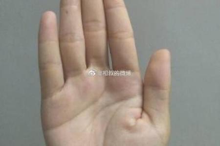 车站算命的
