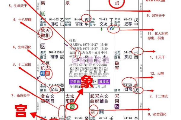 紫薇斗数命盘会照