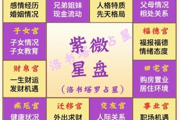 奇门紫薇斗数
