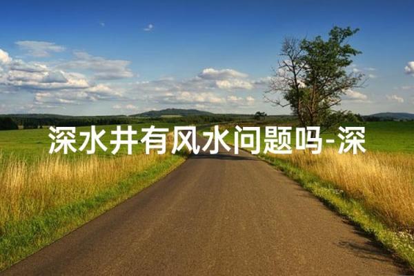 风水房子坐南桥北井水