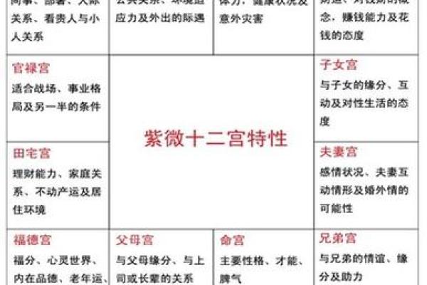 紫薇斗数怎么看一个人啥时买车