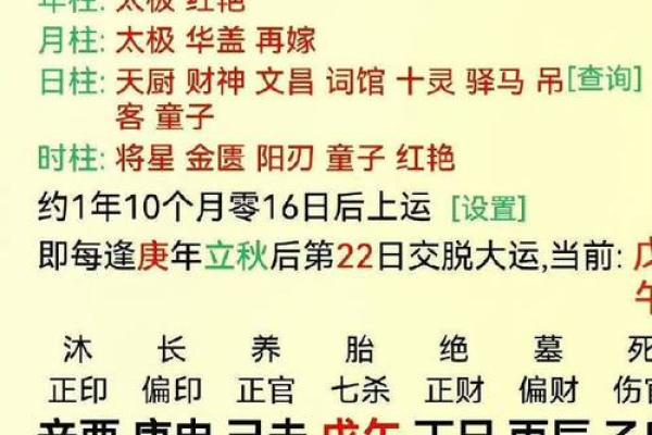 八字5两9特点介绍，八字5两9的含义及其解析