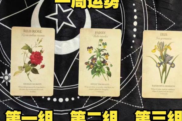 【塔罗运势】诡魅塔罗12星座8月23日运势