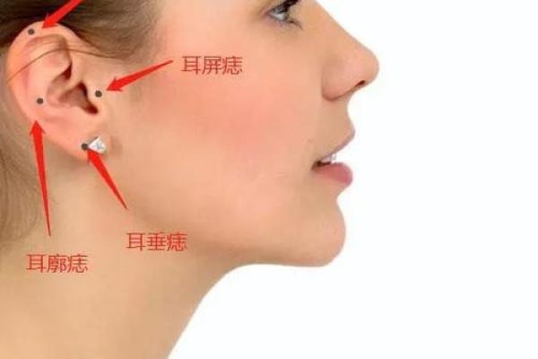 耳朵风水里代表什么