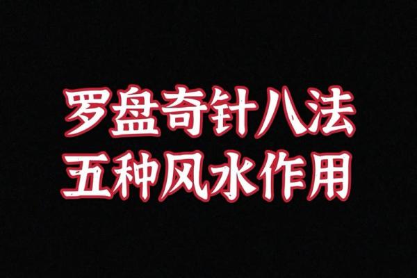 罗盘风水_罗盘上的武是什么意思