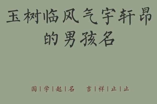 给四月份出生属马的男宝宝取什么名字好姓名