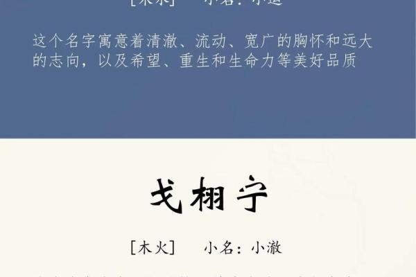 2019年3月19号亥时出生的男孩起名时要注意什么姓名